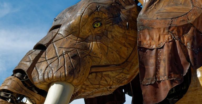 Coaching professionnel à Nantes